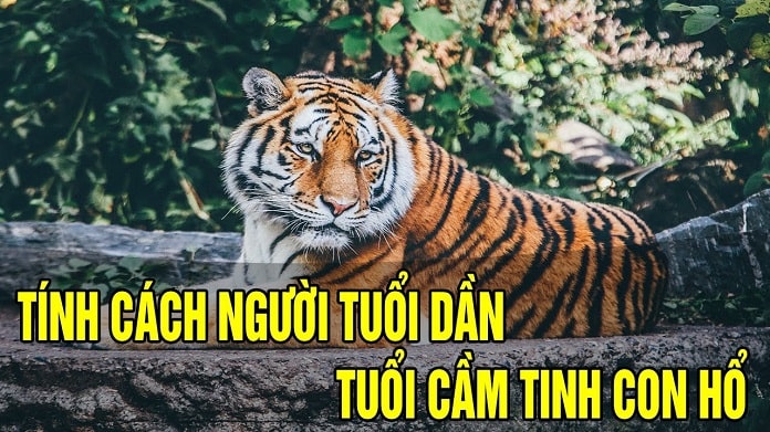 tinh cach nguoi tuoi dan