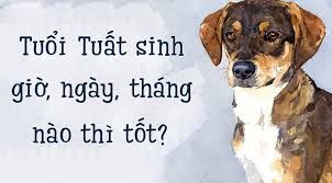 tử i tuổi tuất