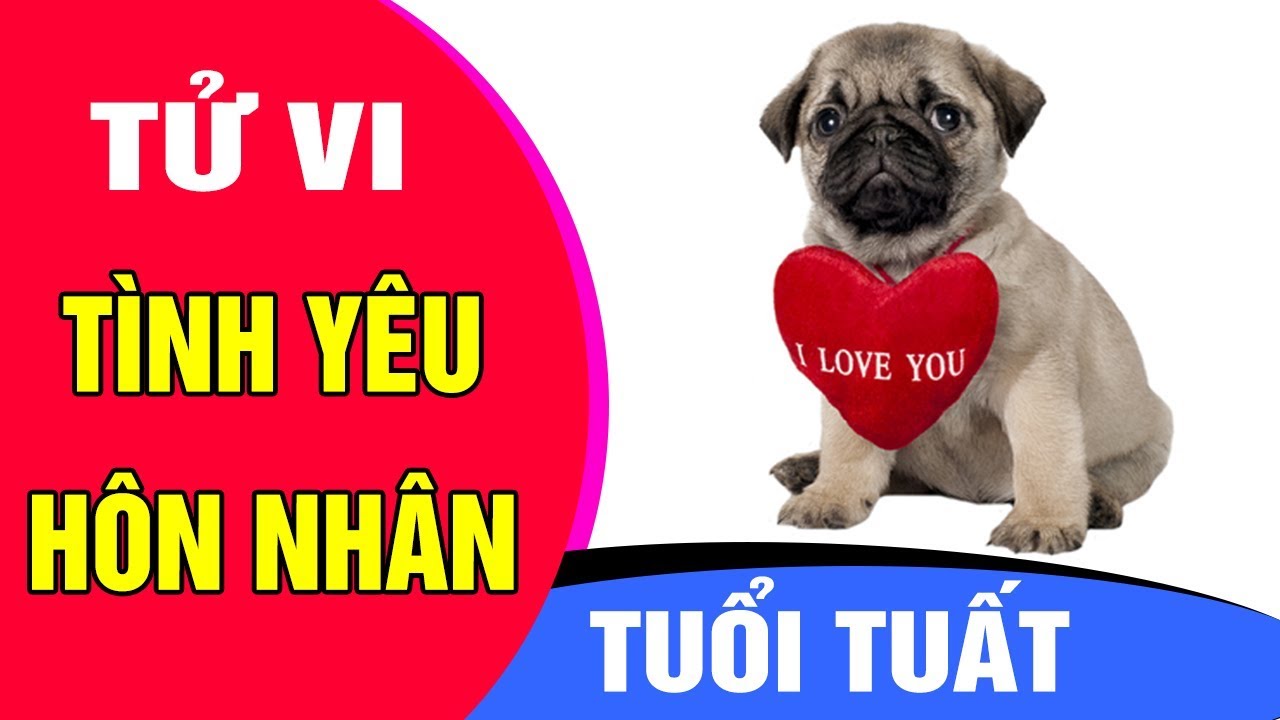 tình yêu tuổi tuất