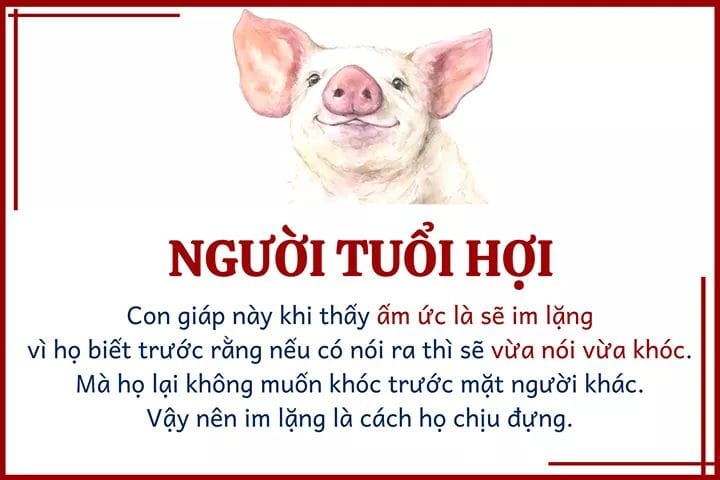 tử vi tuổi hợi